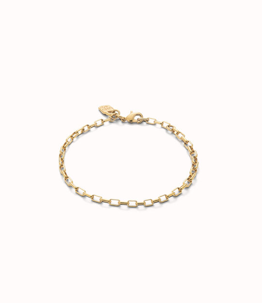 Mid-sized link charm chain bracelet