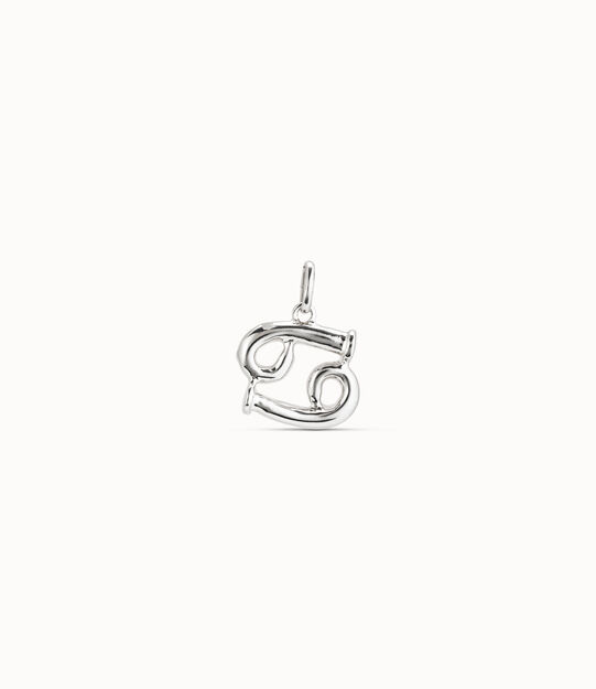 Cancer shaped charm