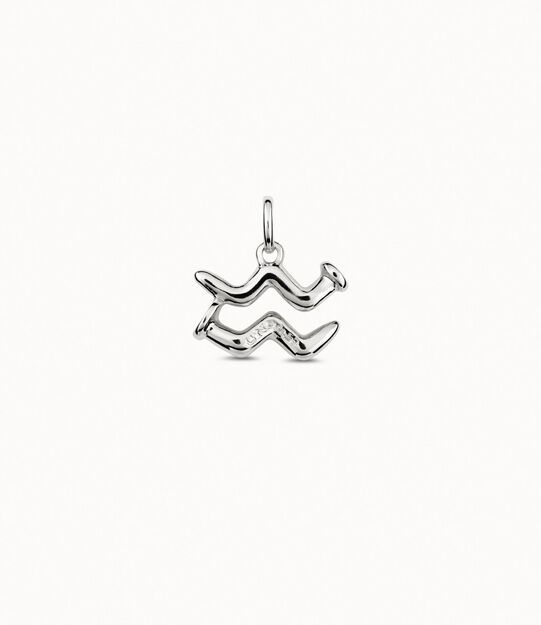 Aquarius shaped charm