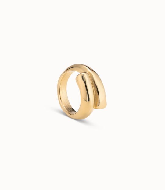 Tubular shaped ring