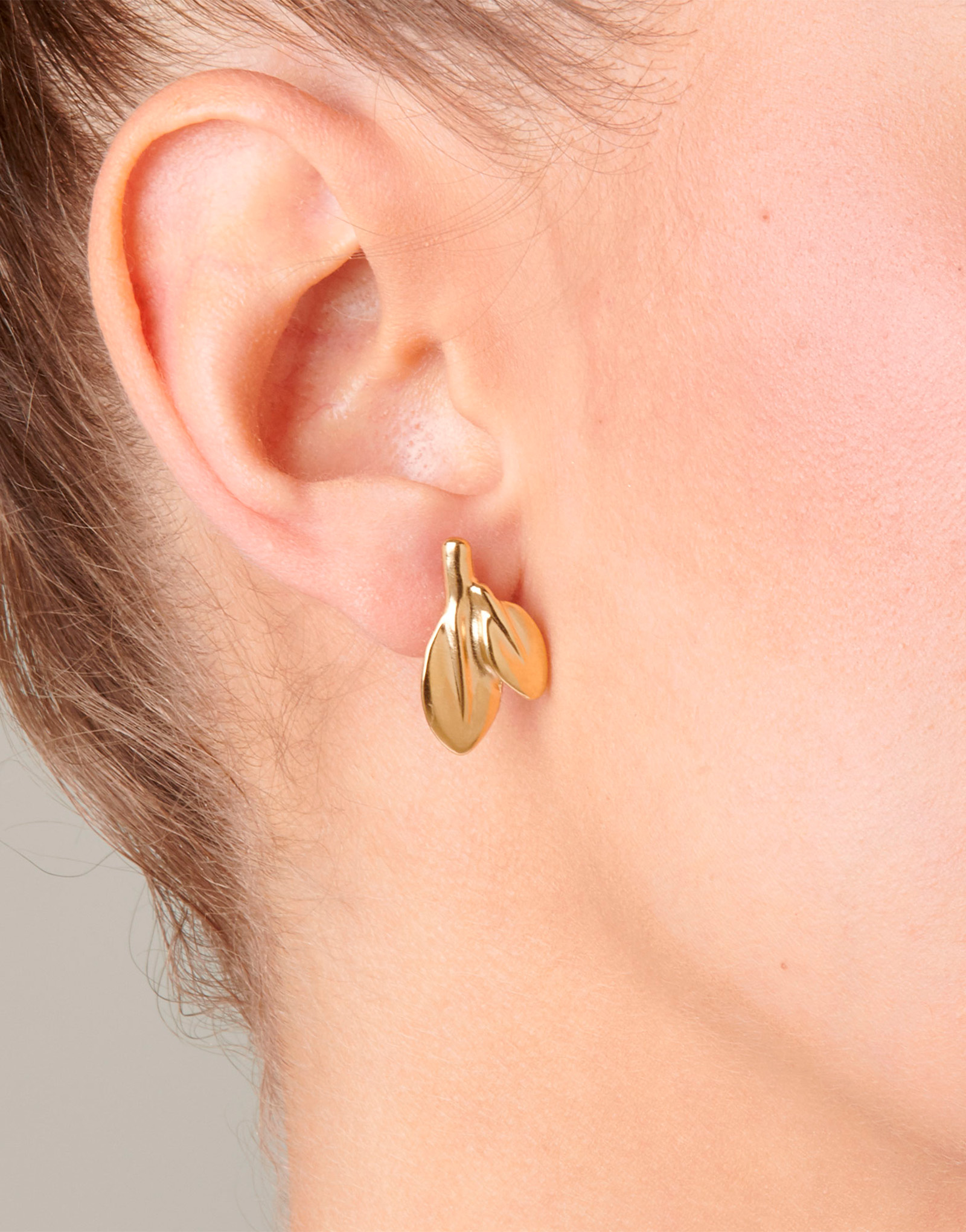 Hojas, Golden, large thumbnail